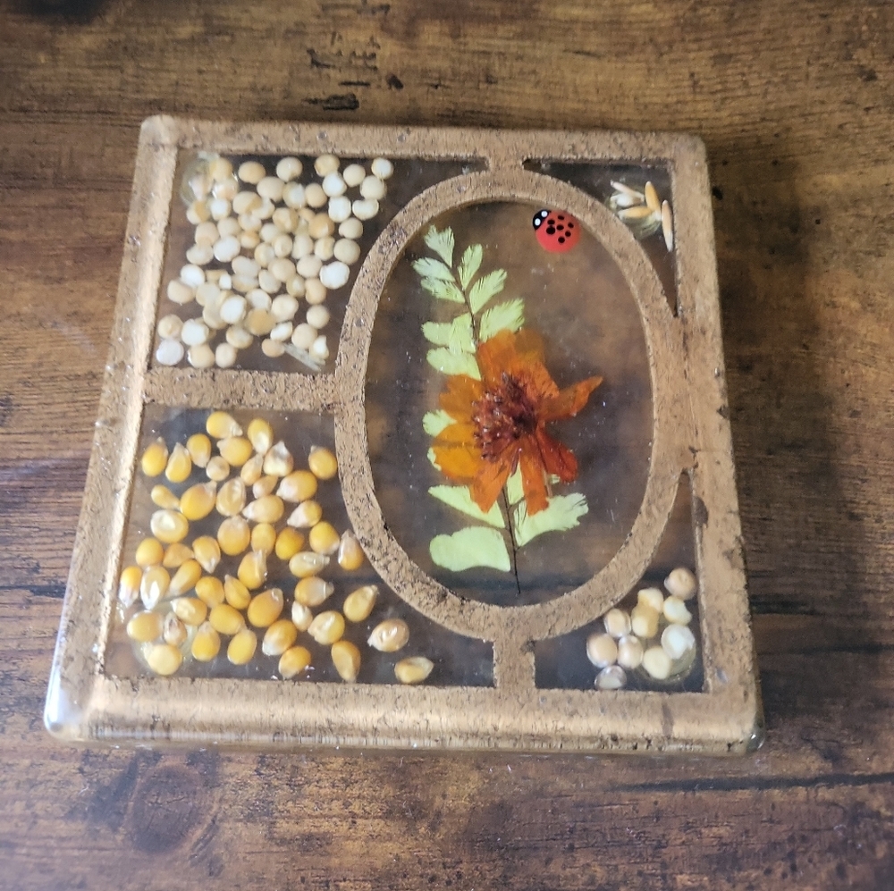 Vintage 1970s Resin Trivet with Dried Flower, Seeds & Ladybug